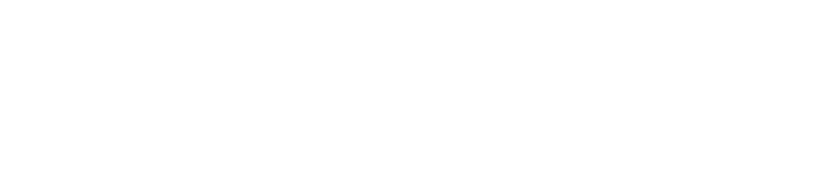 Blexim — Soluciones a tu medida